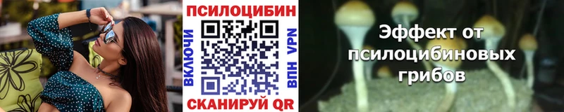Псилоцибиновые грибы GOLDEN TEACHER цены Стерлитамак